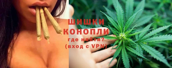 прущий лед Арсеньев