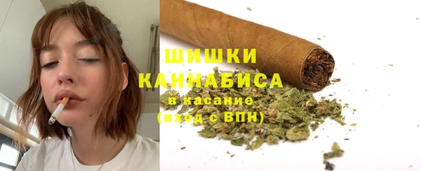 apvp Аркадак